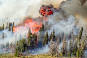 Spring and Summer Fire Hazards and Fire Watch Protocols